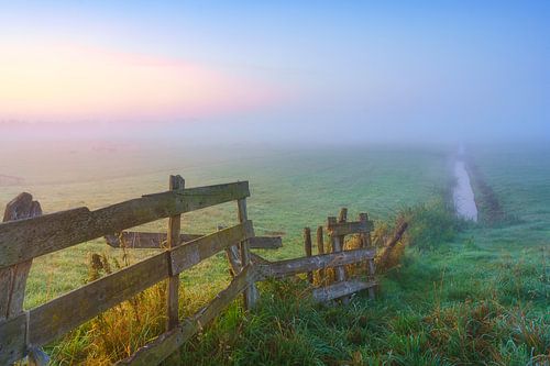 Mistige ochtend op het boerenland