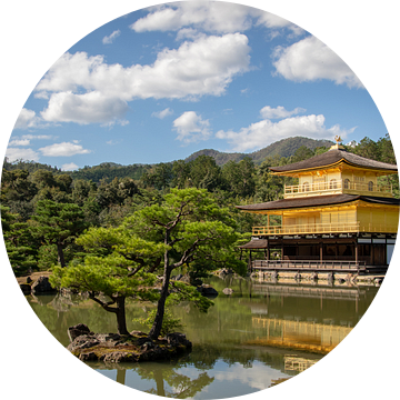 De Gouden Tempel (Kinkaku-ji) in Kyoto van Marcel Alsemgeest