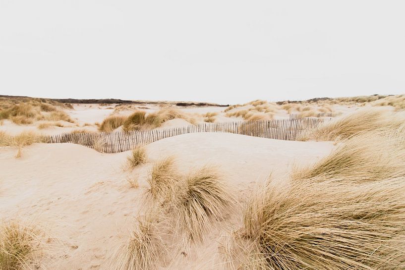 Duinen in het Westduinpark in Scheveningen van Anne Zwagers