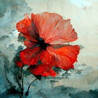 Red poppy