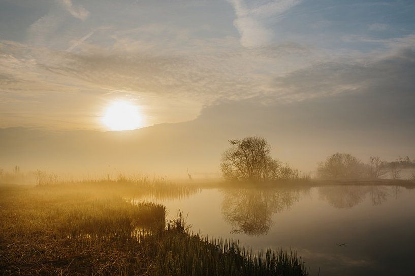 Un lever de soleil magique par Wilko Visscher