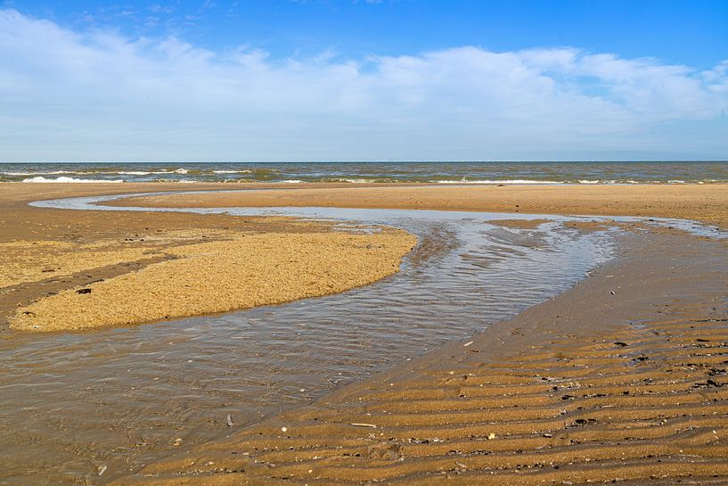 Beach by Michael Ruland