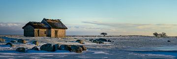 Paysage d'hiver d'Öland sur Remco van Adrichem