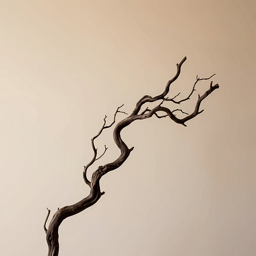 Desert Dune Twig in Earth Tone, Light Gray Palette