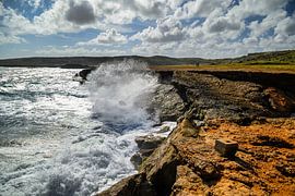 A view of Aruba's rocky coast by Andreas Völkel