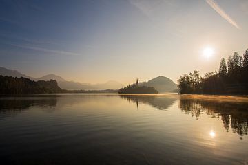 Het meer van Bled in de vroege ochtend van Sonja Birkelbach