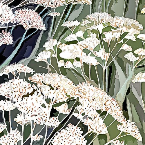 Veld met fluitenkruid in de lentezon