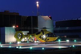 D-HOEM von Mariska Bruin