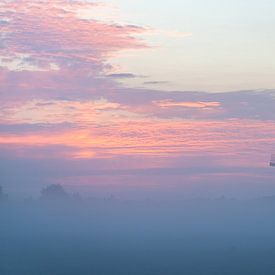 Nebliger Morgen in der Zwiebelregion von Corné Ouwehand