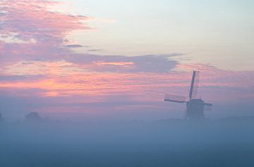 Foggy morning in the bulb region by Corné Ouwehand