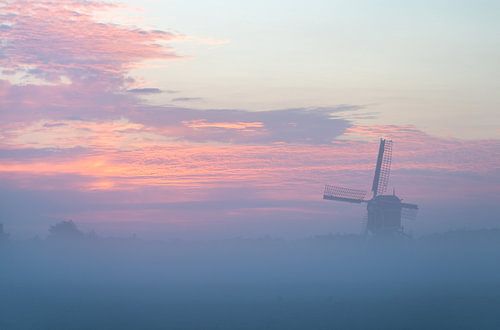 Matinée brumeuse dans la région du bulbe