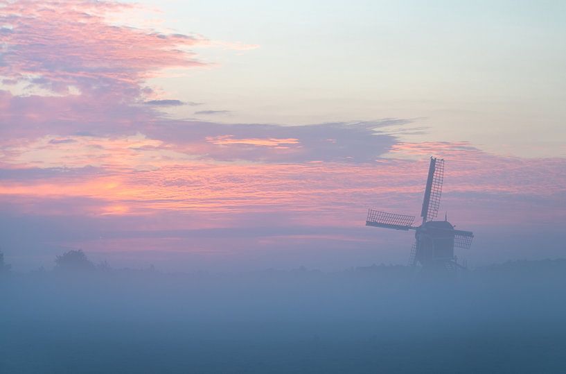 Foggy morning in the bulb region by Corné Ouwehand