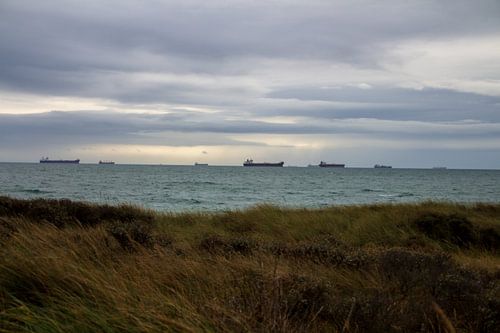 Vrachtschepen op zee in het Kattegat