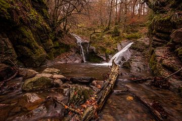 Ardennes waterfalls in autumn colours by Bert Beckers