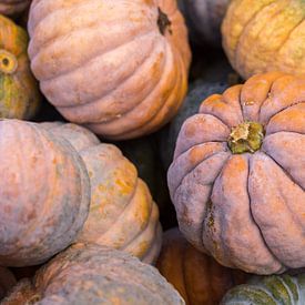 Courge muscade sur Sergej Nickel