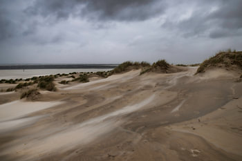 Wind force 7