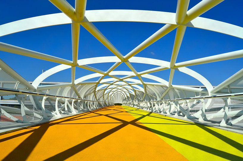 Walk and cycle bridge the green connection by Hans Weijers