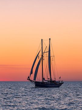 Sailing ship in the sunset at the Hanse Sail in Rostock