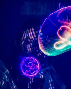 Neon