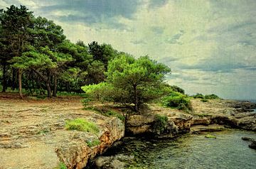 Naturschutzgebiet der Region Apulien