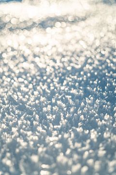 Sneeuwkristallen met de eerste zonneschijn van Leo Schindzielorz
