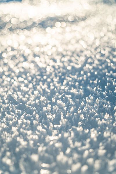 Snow crystals with the first sunshine by Leo Schindzielorz