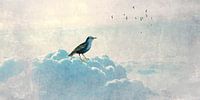 HEAVENLY BIRD I-Panorama van Pia Schneider thumbnail