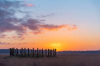 Sonnenaufgang an den Grabhügeln in der Regte Heide.