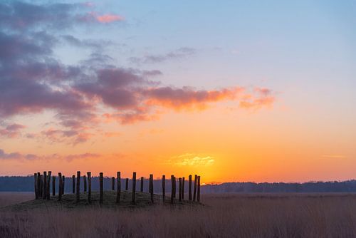 Zonsopkomst bij de grafheuvels op de Regte Heide.