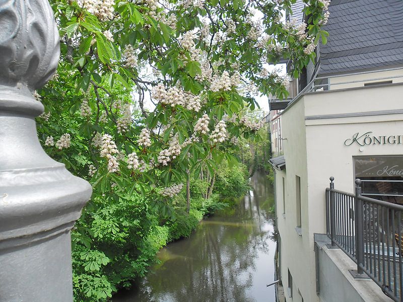 Frühlingsblüten by Helmut Englisch