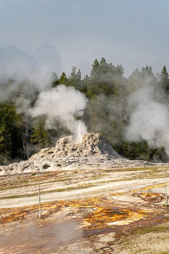 Geisers in Yellowstone National Park, USA