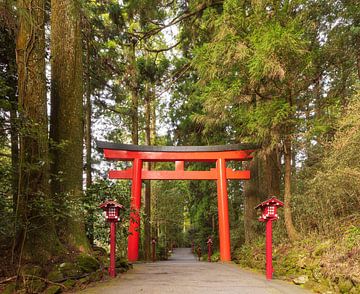 Hakone - Lake Ashi - Hakone Shrine (Japan) van Marcel Kerdijk