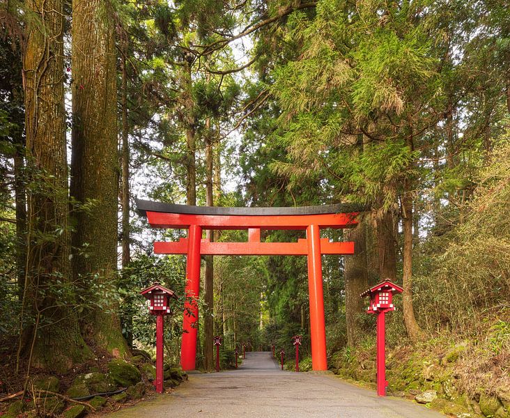 Hakone - Lake Ashi - Hakone Shrine (Japan) by Marcel Kerdijk