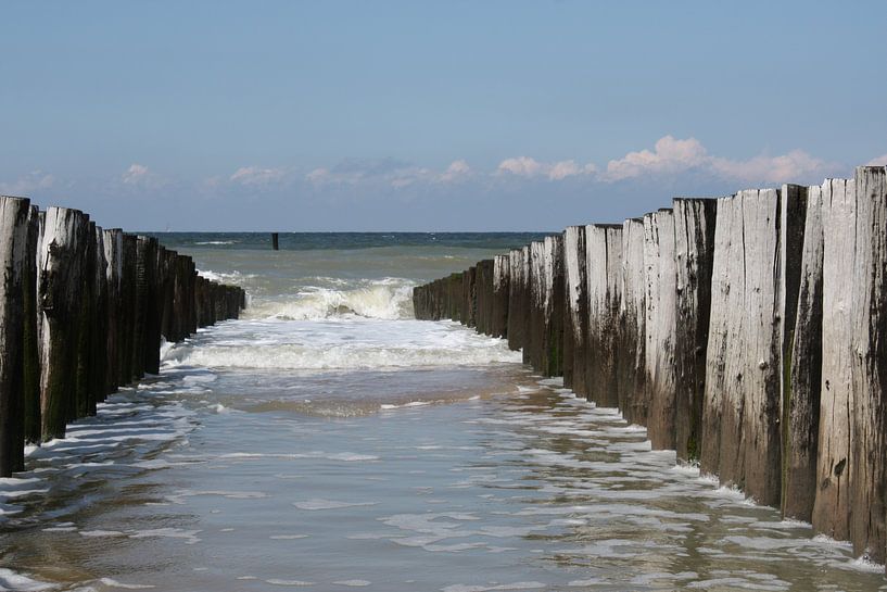 Eau du Domburg par de buurtfotograaf Leontien