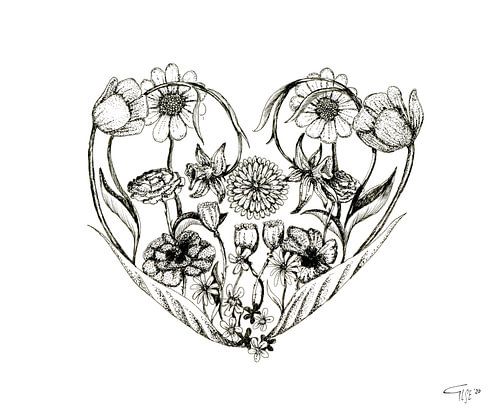 Pen drawing black and white - Flower heart by Ilse Schrauwers, isontwerp.nl