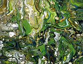 Rainforest Dreams by Dorothy Berry-Lound thumbnail