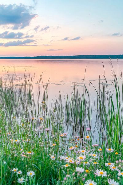 Blossoms by the water by Poster Art Shop