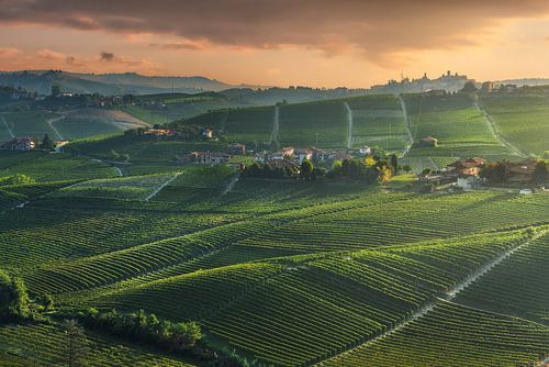 Langhe wijngaarden landschap