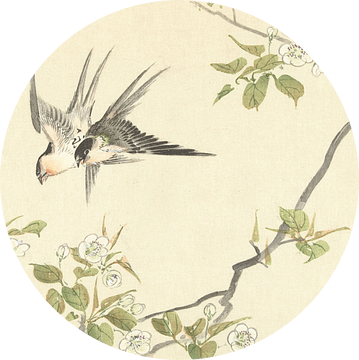 Twee zwaluwen van Matsumura Keibun - 1892