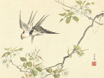 Two Swallows by Matsumura Keibun - 1892