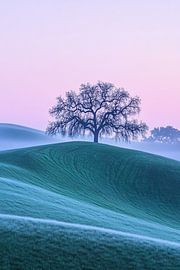 Tree on misty hilltop by Imperial Art House