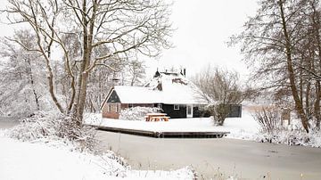 Weerribben in de sneeuw van Ragonda Mol