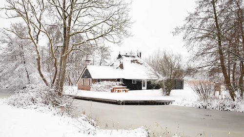 Weerribben in de sneeuw