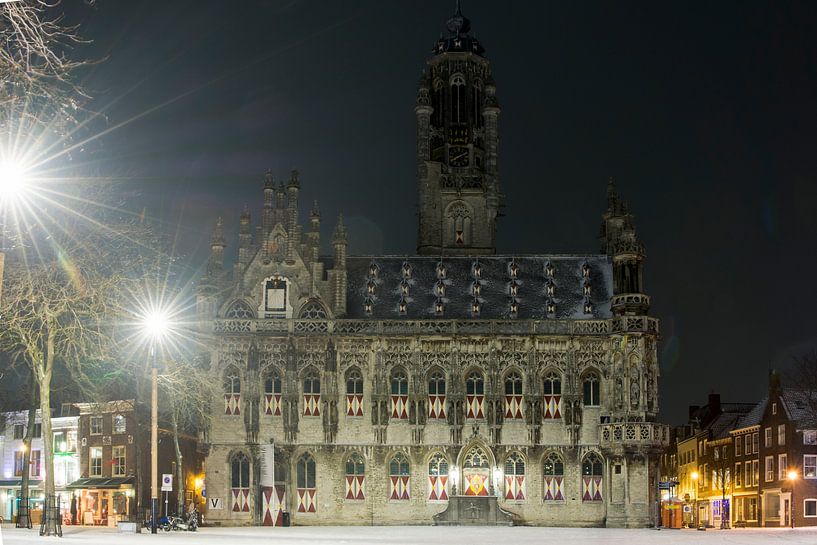 Middelburg cityscape at night in winter by Robbert De Reus
