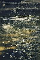 Droplets.