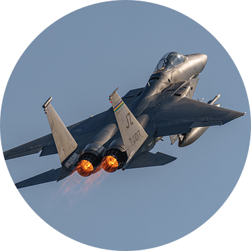 Take-off Bayou Militia McDonnell Douglas F-15C Eagle. van Jaap van den Berg