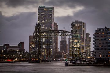 Bridges and Skyscrapers van Peter Hooijmeijer