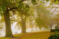 Romantisch bos in Leiden van Dirk van Egmond thumbnail