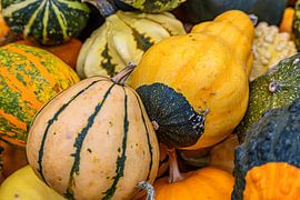 Kürbisvielfalt von Photoart-Naegele
