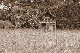 Insektenhotel in Sepia